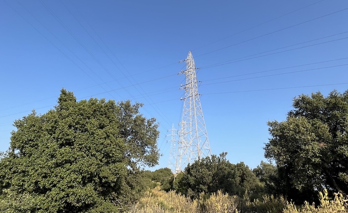 Spot elektrik fiyatı 19.06.2025 için 2762.44 TL