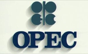 OPEC Petrol Sepeti yükseldi